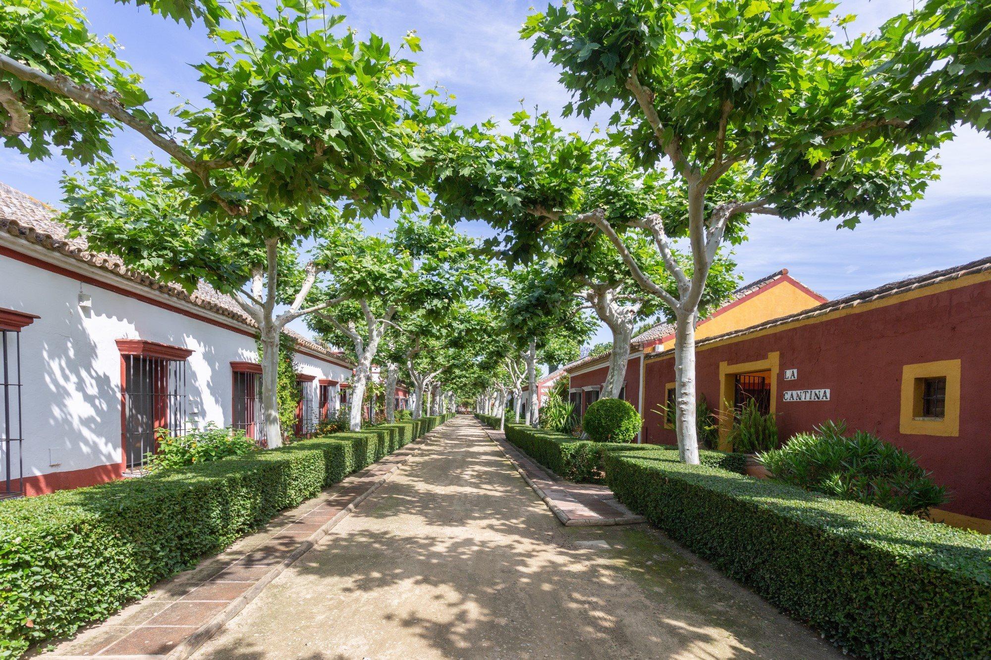 El Cortijo De Los Mimbrales Hotel Almonte Exteriér fotografie